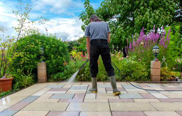 Best Winterizing Services  in Elmwood Place, OH